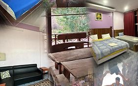 The Vibe Guesthouse